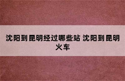 沈阳到昆明经过哪些站 沈阳到昆明火车